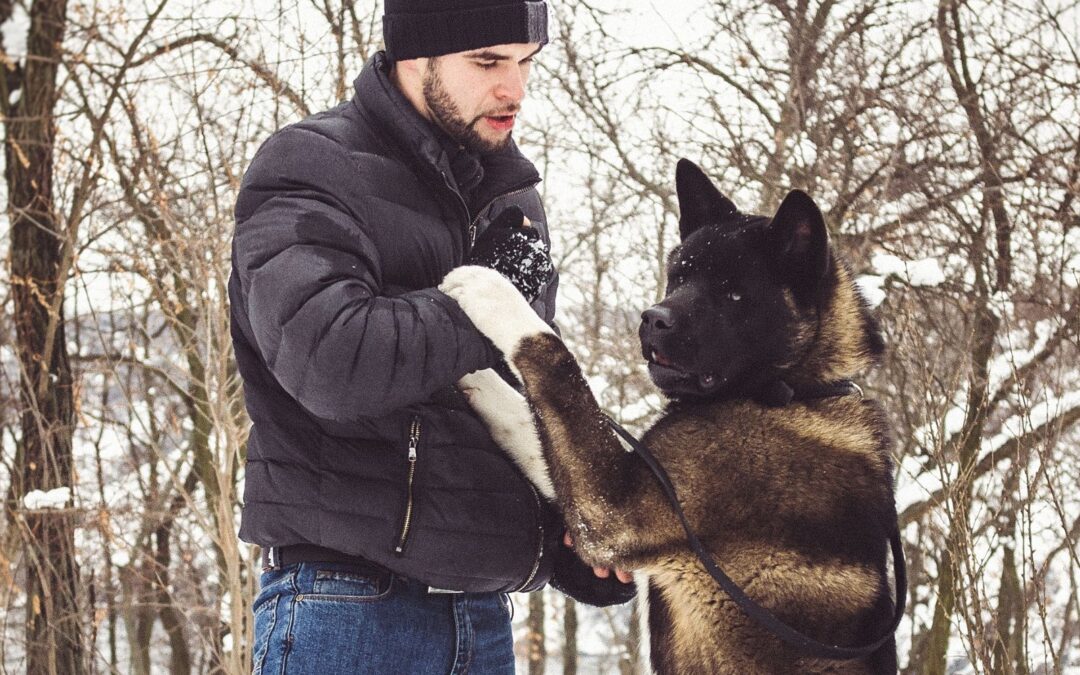 American dog types